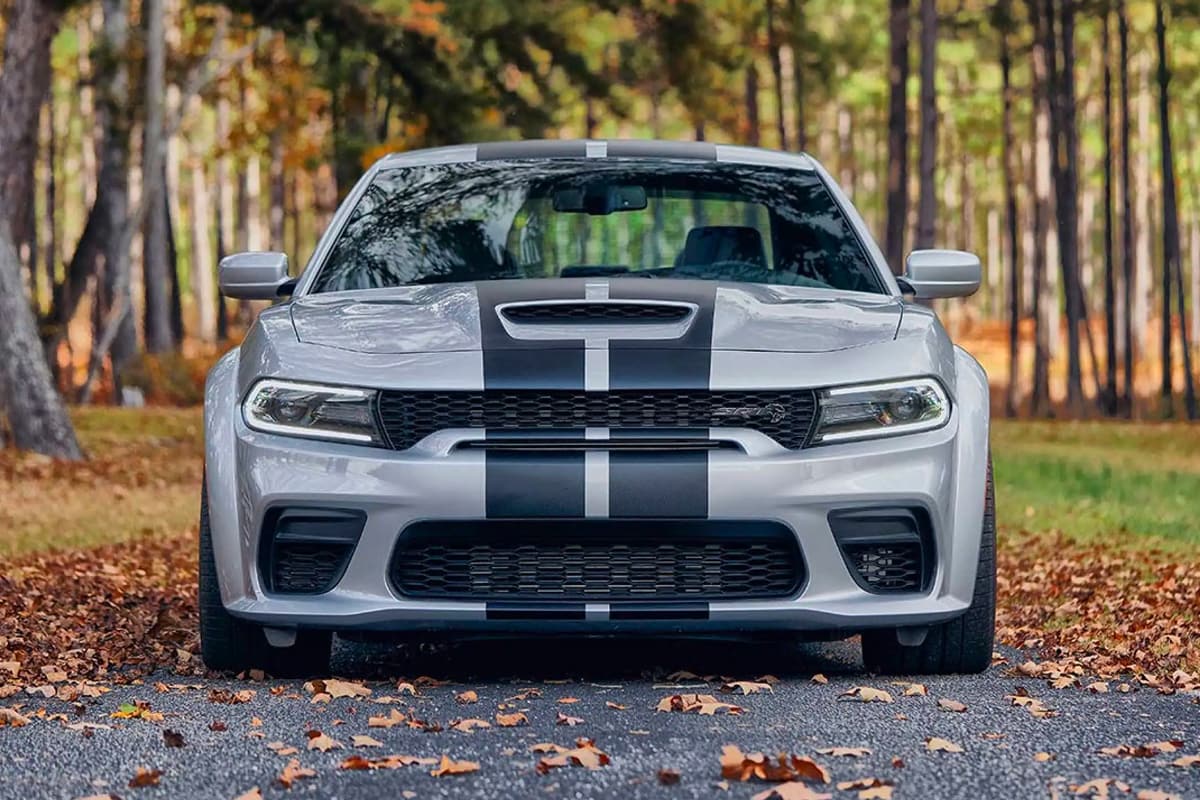 Charger in Leaves
