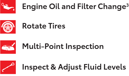 Cambio de filtro y aceite del motor, rotación de neumáticos, inspección multipunto e inspección y ajuste de los niveles de líquido