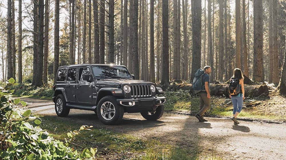 2020 Jeep Wrangler In the Woods