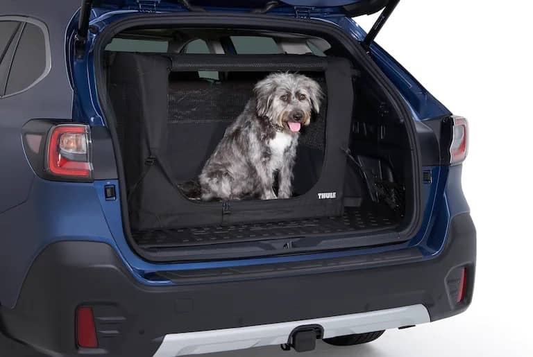 Genuine Subaru Pet Friendly Accessories Kenny Ross Subaru