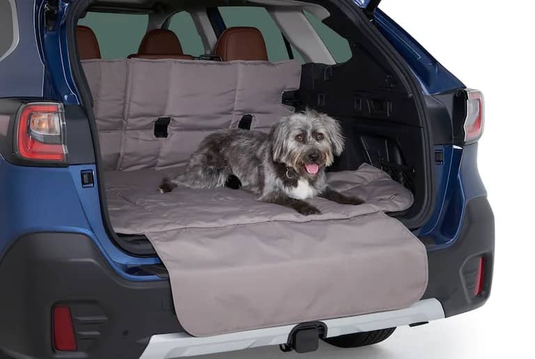 Dog ramp clearance for subaru forester